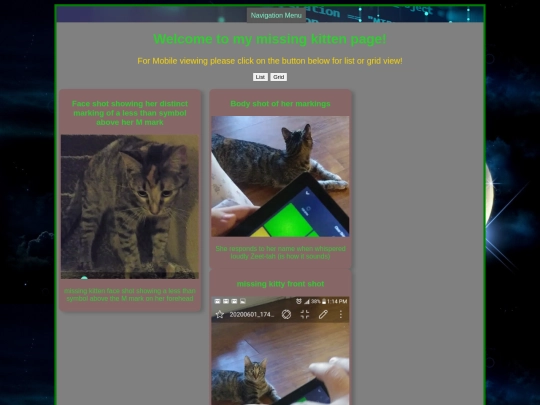 missingkitten screenshot