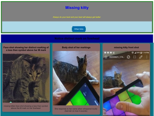 zetta/missingkitty screenshot