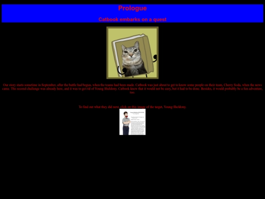 FindYoungSheldony screenshot