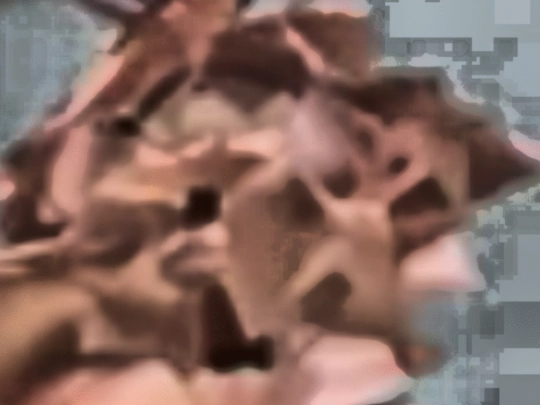 illuisrude screenshot