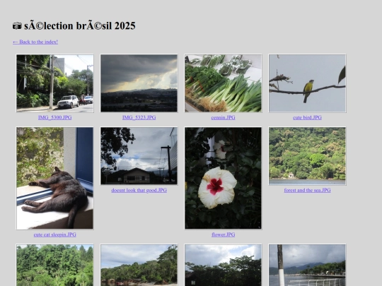 gallery/s-lection-br-sil-2025 screenshot