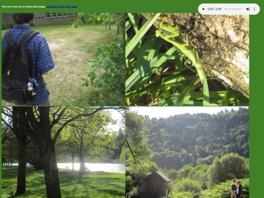 photos2 screenshot