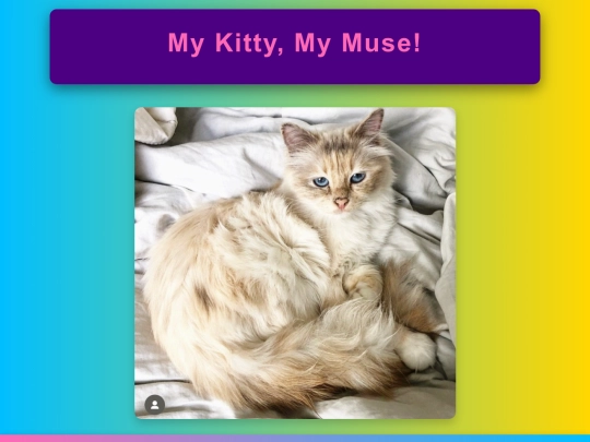 mykitty screenshot