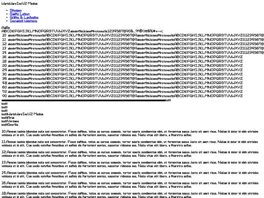 webfontkit-20220610-034105/wariowarefont-demo screenshot