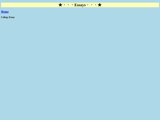 essay screenshot