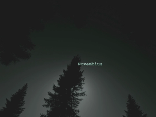 NovQuest screenshot