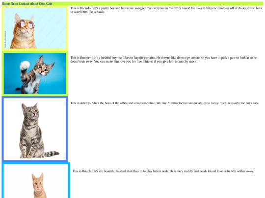 cool-cats screenshot
