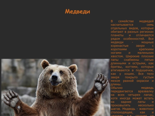homework/zoo/bear screenshot