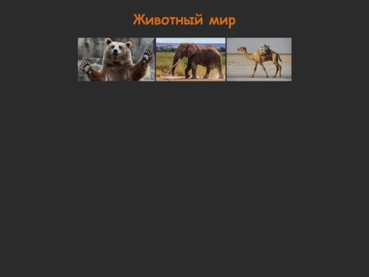 homework/zoo screenshot