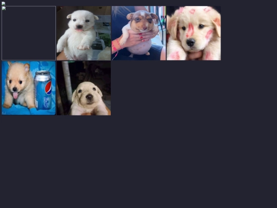 ollie-pics screenshot
