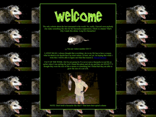 indexe screenshot