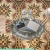 Jelly's Virtual Residence avatar