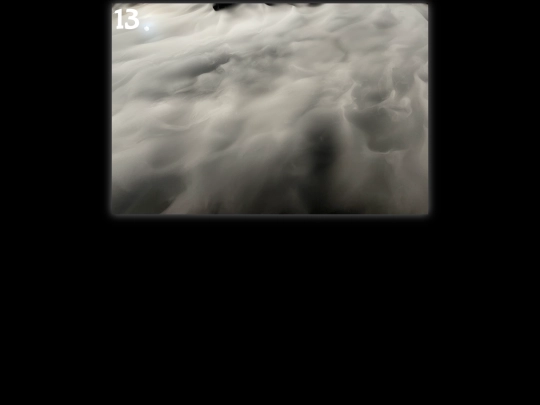 alligator/legend screenshot