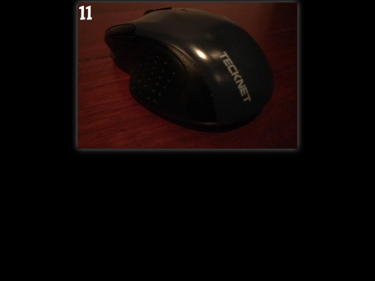 hamster/follow screenshot