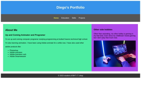 Diegoportfolio screenshot