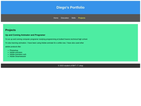 Diegoportfolio/projects screenshot