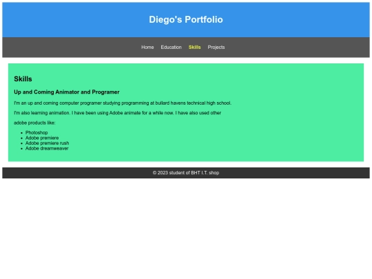 Diegoportfolio/skills screenshot