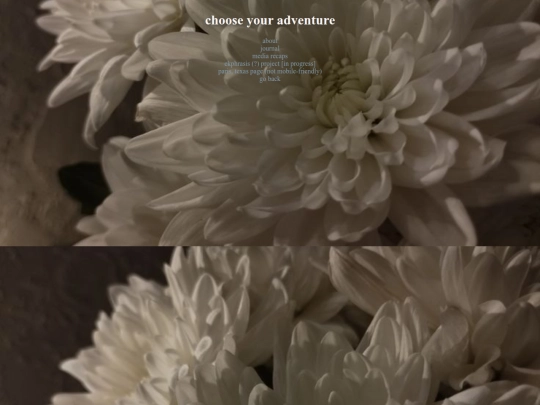 intro screenshot
