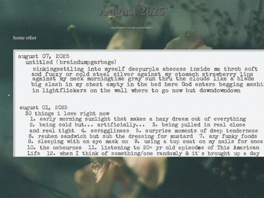 journalaugust25 screenshot