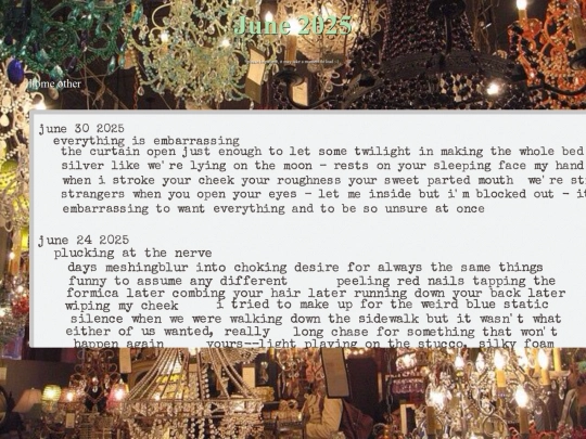 journaljune25 screenshot