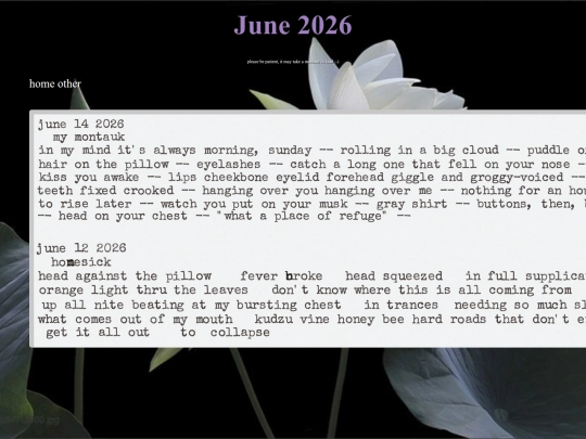 journaljune26 screenshot