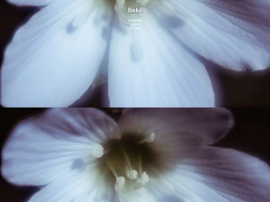 media screenshot