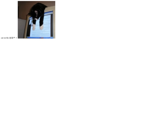 catonthecomputer screenshot