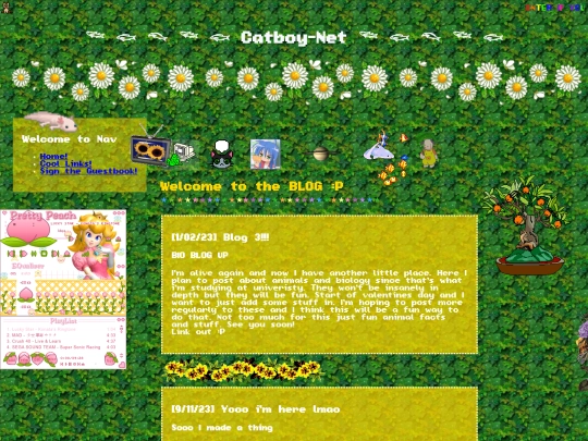 catgirlbio screenshot