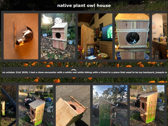 tecolhouse screenshot
