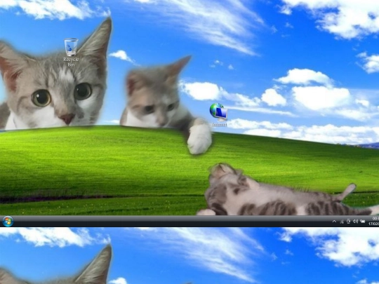 computer/mycomputer screenshot