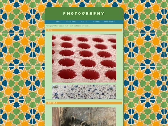 portfolio/photography screenshot