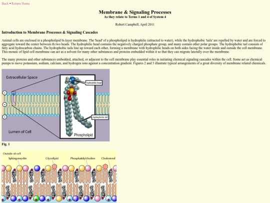 scispirit/System/membrane screenshot