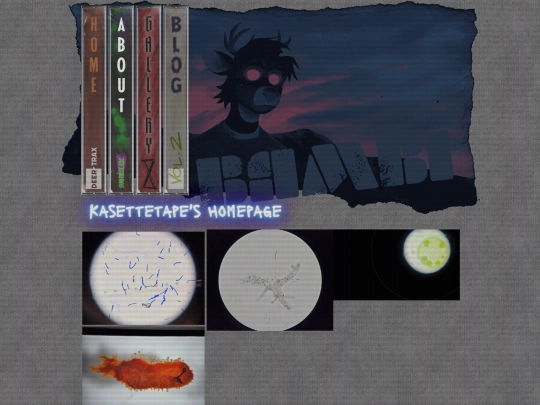 microscopy screenshot