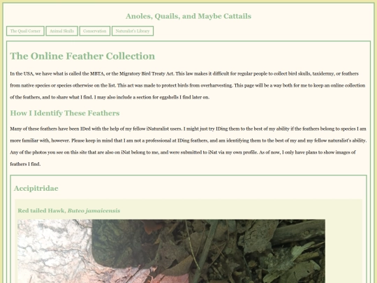 Online_Feather_Collection screenshot