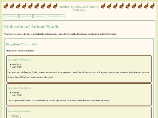 SkullCollection screenshot