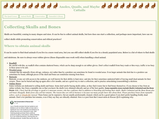 collectingbones screenshot