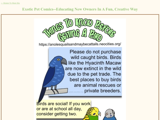 exotic_education screenshot