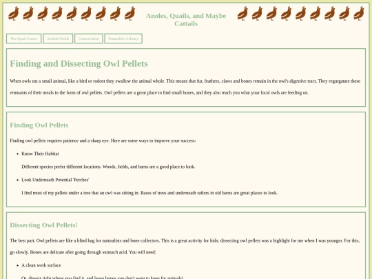 how_to_find_owl_pellets screenshot