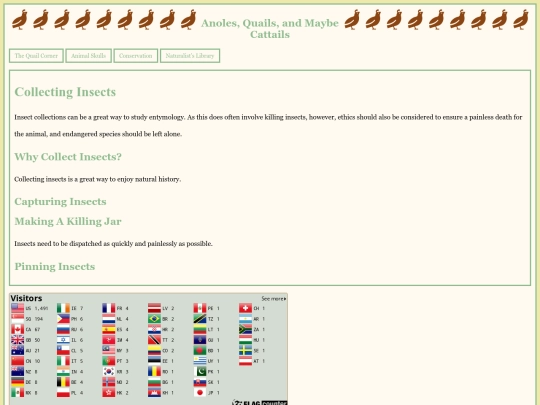 insectcollecting screenshot