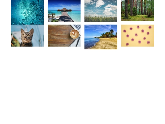 gallery screenshot