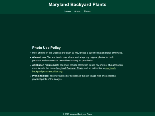 photo-use-and-copyright screenshot