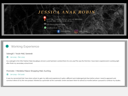 workingexperience screenshot
