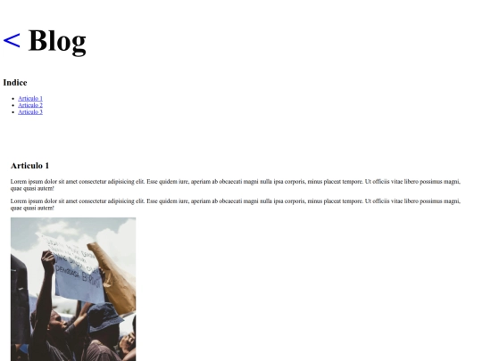 paginas/blog screenshot