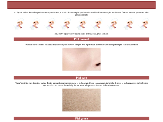 PAG.MAQUILLAJE/piel screenshot