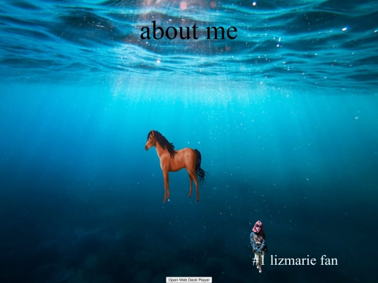 aboutme screenshot