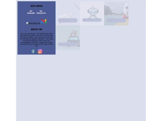 projects screenshot