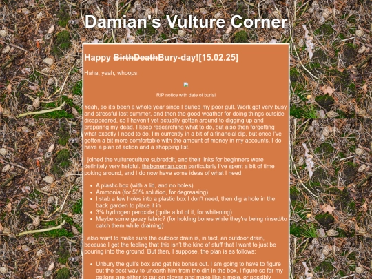 bookshelf/Vulture/buryday screenshot
