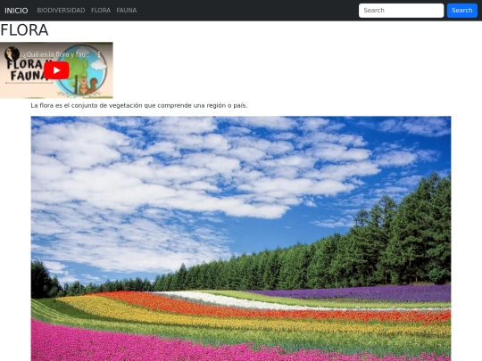 pagina/pagina2 screenshot