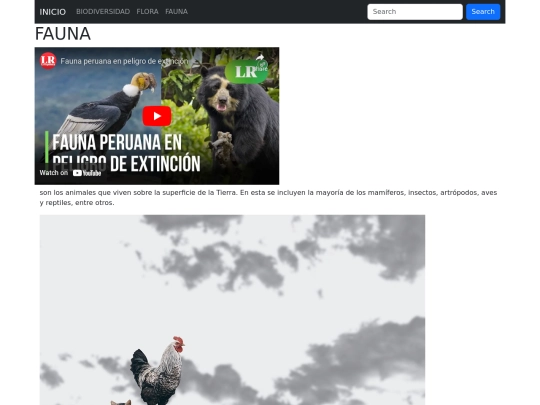 pagina/pagina3 screenshot
