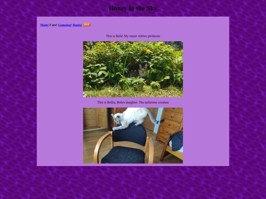 cats screenshot
